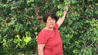 花姐带你吃瓜,畅游味蕾盛宴